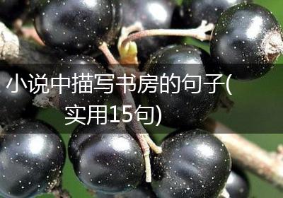 小说中描写书房的句子(实用15句)