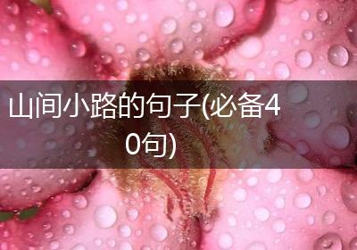 山间小路的句子(必备40句)