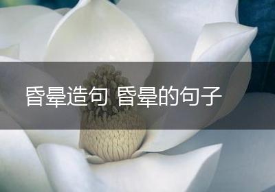 昏晕造句 昏晕的句子