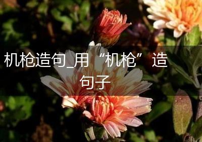 机枪造句_用“机枪”造句子