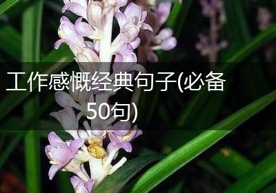 工作感慨经典句子(必备50句)
