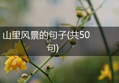 山里风景的句子(共50句)