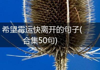 希望霉运快离开的句子(合集50句)