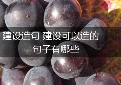 建设造句 建设可以造的句子有哪些