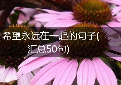 希望永远在一起的句子(汇总50句)
