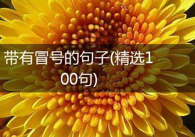 带有冒号的句子(精选100句)