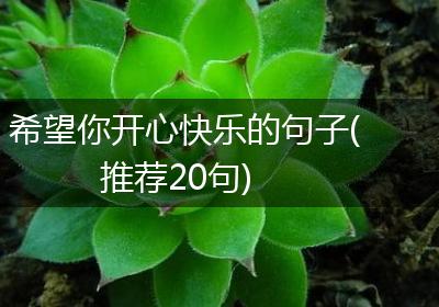 希望你开心快乐的句子(推荐20句)