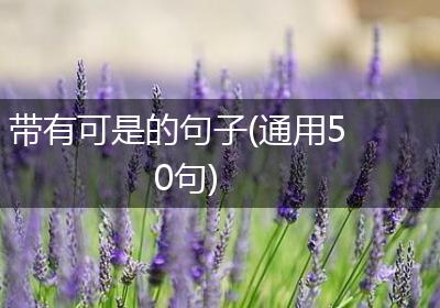 带有可是的句子(通用50句)