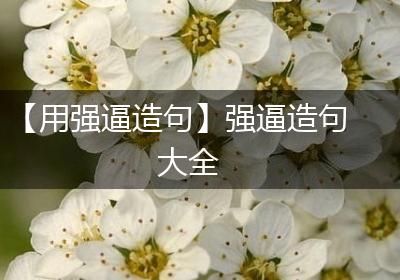 【用强逼造句】强逼造句大全