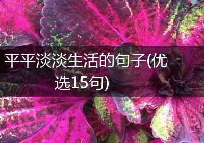 平平淡淡生活的句子(优选15句)