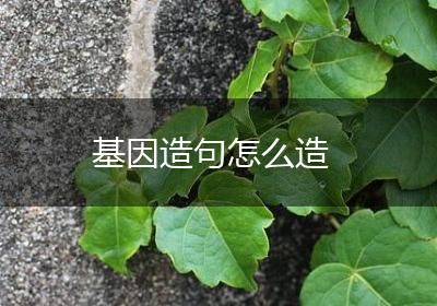 基因造句怎么造