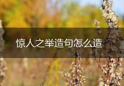 惊人之举造句怎么造