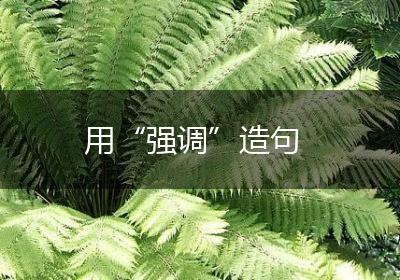 用“强调”造句