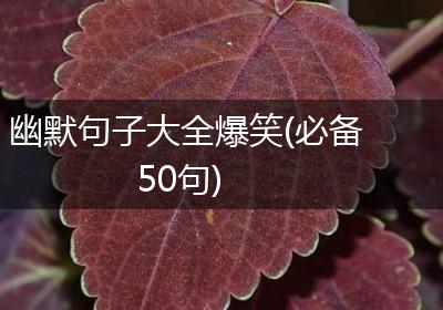 幽默句子大全爆笑(必备50句)