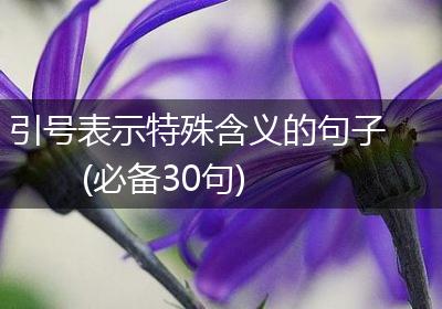 引号表示特殊含义的句子(必备30句)