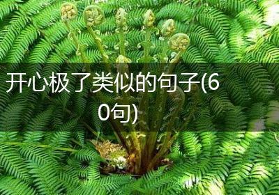 开心极了类似的句子(60句)