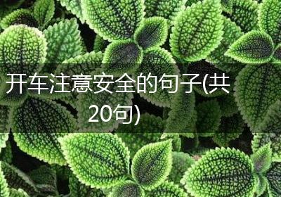 开车注意安全的句子(共20句)