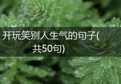 开玩笑别人生气的句子(共50句)