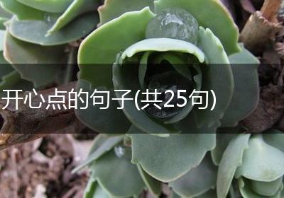 开心点的句子(共25句)