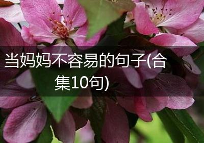 当妈妈不容易的句子(合集10句)