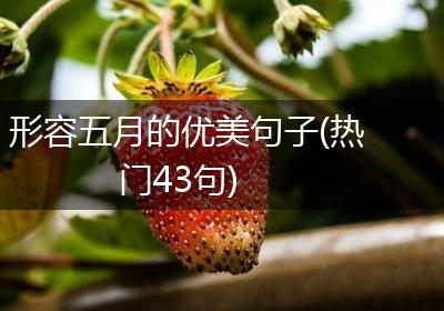 形容五月的优美句子(热门43句)