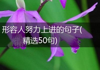 形容人努力上进的句子(精选50句)