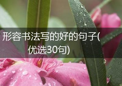 形容书法写的好的句子(优选30句)