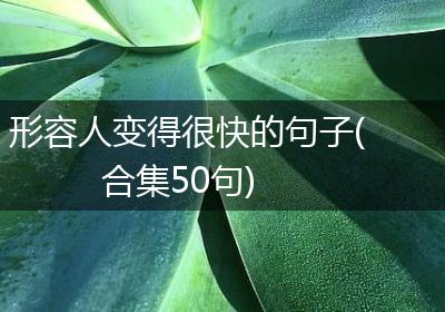 形容人变得很快的句子(合集50句)