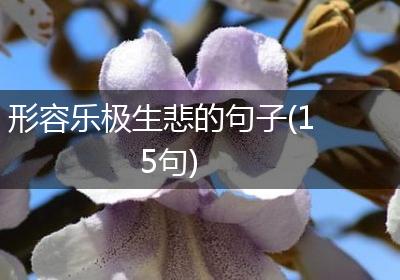形容乐极生悲的句子(15句)
