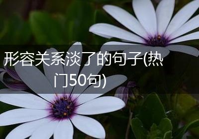 形容关系淡了的句子(热门50句)