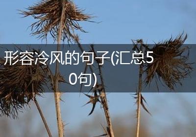 形容冷风的句子(汇总50句)