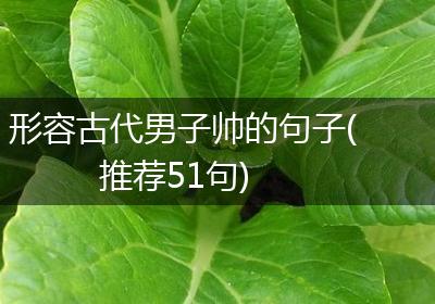 形容古代男子帅的句子(推荐51句)