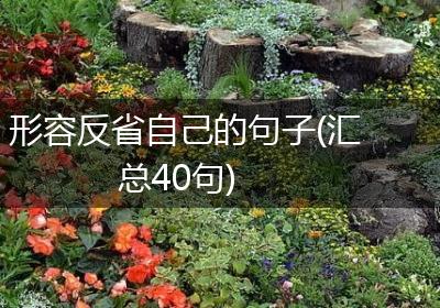 形容反省自己的句子(汇总40句)