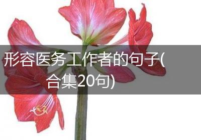 形容医务工作者的句子(合集20句)