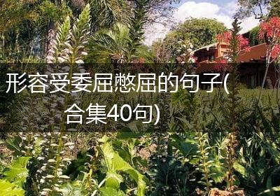 形容受委屈憋屈的句子(合集40句)