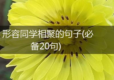 形容同学相聚的句子(必备20句)