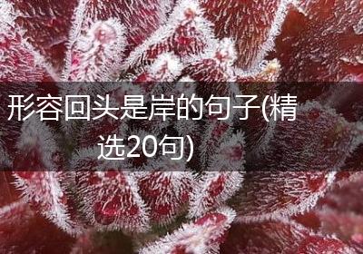 形容回头是岸的句子(精选20句)