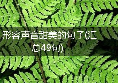 形容声音甜美的句子(汇总49句)