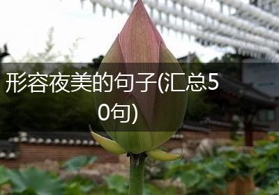 形容夜美的句子(汇总50句)