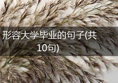 形容大学毕业的句子(共10句)
