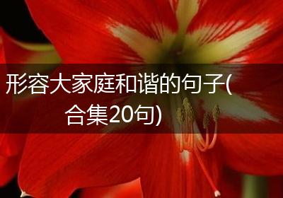 形容大家庭和谐的句子(合集20句)