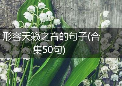 形容天籁之音的句子(合集50句)