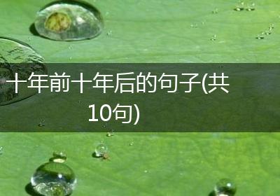 十年前十年后的句子(共10句)
