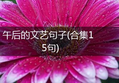 午后的文艺句子(合集15句)