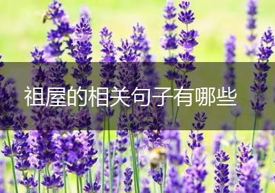 祖屋的相关句子有哪些