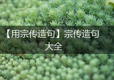 【用宗传造句】宗传造句大全