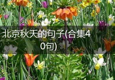 北京秋天的句子(合集40句)