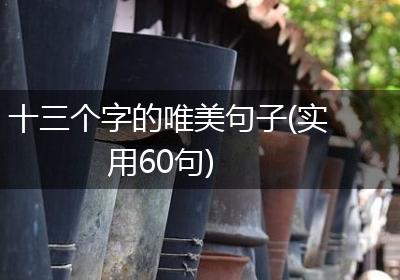 十三个字的唯美句子(实用60句)