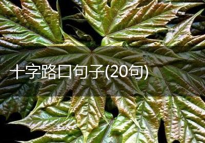 十字路口句子(20句)