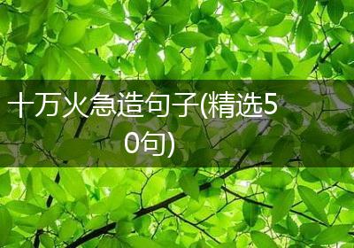 十万火急造句子(精选50句)
